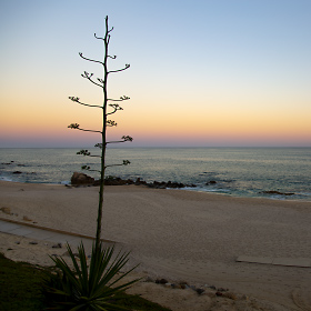 Looking east at sunset from the beach in Cabo San Lucas, Mexico.
