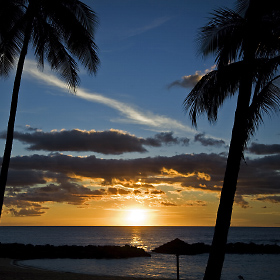 The sun sets on the Pacific Ocean through the palm tree beaches of Hawaii.
