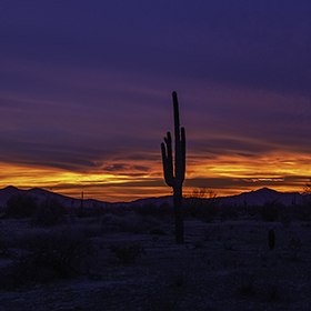 Driving home from Cave Creek and the time was right for the sky and the cacti.