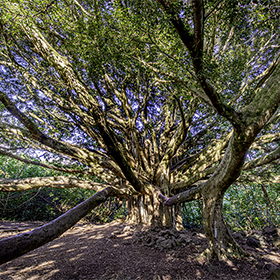 The island of Maui in Hawaii.