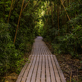 The island of Maui in Hawaii.