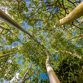 The island of Maui in Hawaii.
