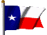 Flag of Texas